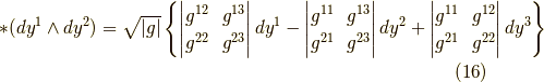 \ast(dy^1 \wedge dy^2) &= \sqrt{|g|} \left\{ \begin{vmatrix} g^{12} & g^{13} \\g^{22} & g^{23}\end{vmatrix} dy^1 -\begin{vmatrix} g^{11} & g^{13} \\g^{21} & g^{23}\end{vmatrix} dy^2 +\begin{vmatrix} g^{11} & g^{12} \\g^{21} & g^{22}\end{vmatrix} dy^3 \right\}\tag{16}