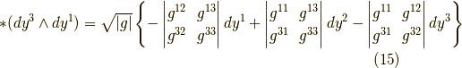\ast(dy^3 \wedge dy^1) &= \sqrt{|g|} \left\{ -\begin{vmatrix} g^{12} & g^{13} \\g^{32} & g^{33}\end{vmatrix} dy^1 +\begin{vmatrix} g^{11} & g^{13} \\g^{31} & g^{33}\end{vmatrix} dy^2 -\begin{vmatrix} g^{11} & g^{12} \\g^{31} & g^{32}\end{vmatrix} dy^3 \right\}\tag{15}