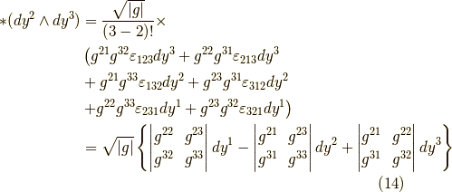 \ast(dy^2 \wedge dy^3) &= \dfrac{\sqrt{|g|}}{(3-2)!} \times \\&\left( g^{21} g^{32} \varepsilon_{123} dy^3 + g^{22} g^{31} \varepsilon_{213} dy^3 \right. \\&+g^{21} g^{33} \varepsilon_{132} dy^2 + g^{23} g^{31} \varepsilon_{312} dy^2  \\&\left. +g^{22} g^{33} \varepsilon_{231} dy^1 + g^{23} g^{32} \varepsilon_{321} dy^1 \right) \\&= \sqrt{|g|} \left\{ \begin{vmatrix} g^{22} & g^{23} \\g^{32} & g^{33}\end{vmatrix} dy^1 -\begin{vmatrix} g^{21} & g^{23} \\g^{31} & g^{33}\end{vmatrix} dy^2 +\begin{vmatrix} g^{21} & g^{22} \\g^{31} & g^{32}\end{vmatrix} dy^3 \right\}\tag{14}