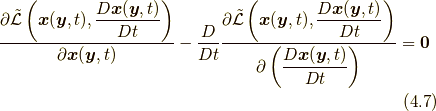\frac{ \partial \tilde{\mathcal{L}} \left( \bm{x}(\bm{y},t) , \displaystyle \frac{ D \bm{x}(\bm{y},t)}{Dt} \right) }{ \partial \bm{x}(\bm{y},t) } -\frac{D}{Dt} \frac{ \partial \tilde{\mathcal{L}} \left( \bm{x}(\bm{y},t) , \displaystyle \frac{ D \bm{x}(\bm{y},t)}{Dt} \right) }{ \partial \left( \displaystyle \frac{D \bm{x}(\bm{y},t)}{Dt} \right) } = \bm{0} \tag{4.7}
