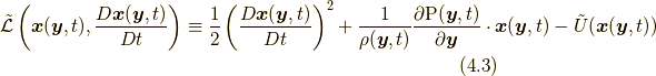 \tilde{\mathcal{L}} \left( \bm{x}(\bm{y},t),\frac{D\bm{x}(\bm{y} ,t)}{Dt} \right) \equiv \frac{1}{2} \left( \frac{ D \bm{x} ( \bm{y},t)}{Dt} \right) ^{2} + \frac{1}{\rho (\bm{y},t)} \frac{\partial \mathrm{P}(\bm{y},t)}{\partial \bm{y}} \cdot \bm{x}(\bm{y},t) - \tilde{U} ( \bm{x}(\bm{y} ,t)) \tag{4.3}