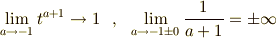 \lim_{a \to -1} t^{a+1} \to 1\ \ , \ \ \lim_{a \to -1 \pm 0} \frac{1}{a+1} = \pm \infty