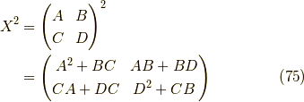 X^2 &= \begin{pmatrix} A & B \\ C & D \end{pmatrix}^2 \\&= \begin{pmatrix} A^2 + BC & AB + BD \\ CA + DC & D^2 + CB \end{pmatrix} \tag{75}