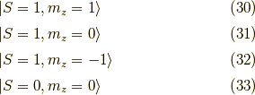 &| S=1, m_z=1 \rangle \tag{30} \\&| S=1, m_z=0 \rangle \tag{31} \\&| S=1, m_z=-1 \rangle \tag{32} \\&| S=0, m_z=0 \rangle \tag{33}
