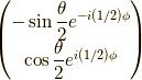 \begin{pmatrix}- \sin \dfrac{\theta}{2} e^{-i(1/2)\phi} \\\cos \dfrac{\theta}{2} e^{i(1/2)\phi}\end{pmatrix}