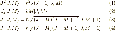 \bm{J}^2 |J,M \rangle &= \hbar^2J(J+1) |J,M \rangle \tag{1} \\J_z |J,M \rangle &= \hbar M |J,M \rangle \tag{2} \\J_+ |J,M \rangle &= \hbar \sqrt{(J-M)(J+M+1)} |J,M+1 \rangle \tag{3} \\J_- |J,M \rangle &= \hbar \sqrt{(J+M)(J-M+1)} |J,M-1 \rangle \tag{4}