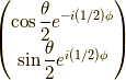 \begin{pmatrix}\cos \dfrac{\theta}{2} e^{-i(1/2)\phi} \\\sin \dfrac{\theta}{2} e^{i(1/2)\phi}\end{pmatrix}