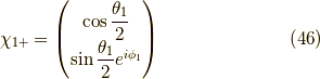 \chi_{1+} = \begin{pmatrix} \cos \dfrac{\theta_1}{2} \\ \sin \dfrac{\theta_1}{2} e^{i \phi_1} \end{pmatrix} \tag{46}