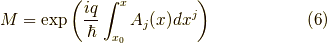 M = \exp \left( \dfrac{iq}{\hbar} \int_{x_0}^{x} A_j(x) dx^j \right)  \tag{6}