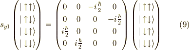 s_{y1}\begin{pmatrix}|\uparrow \uparrow \rangle \\|\uparrow \downarrow \rangle \\|\downarrow \uparrow \rangle \\|\downarrow \downarrow \rangle\end{pmatrix}=\begin{pmatrix}0 & 0 & -i\frac{\hbar}{2} & 0 \\0 & 0 & 0 & -i\frac{\hbar}{2} \\i\frac{\hbar}{2} & 0 & 0 & 0 \\0 & i\frac{\hbar}{2} & 0 & 0\end{pmatrix} \begin{pmatrix}|\uparrow \uparrow \rangle \\|\uparrow \downarrow \rangle \\|\downarrow \uparrow \rangle \\|\downarrow \downarrow \rangle\end{pmatrix}\tag{9}