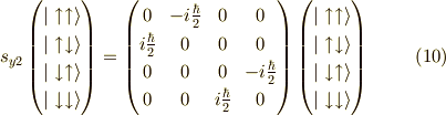 s_{y2}\begin{pmatrix}|\uparrow \uparrow \rangle \\|\uparrow \downarrow \rangle \\|\downarrow \uparrow \rangle \\|\downarrow \downarrow \rangle\end{pmatrix}=\begin{pmatrix}0 & -i\frac{\hbar}{2} & 0 & 0 \\i\frac{\hbar}{2} & 0 & 0 & 0 \\0 & 0 & 0 & -i\frac{\hbar}{2} \\0 & 0 & i\frac{\hbar}{2} & 0\end{pmatrix} \begin{pmatrix}|\uparrow \uparrow \rangle \\|\uparrow \downarrow \rangle \\|\downarrow \uparrow \rangle \\|\downarrow \downarrow \rangle\end{pmatrix}\tag{10}