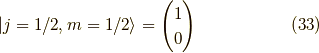 |j=1/2, m=1/2 \rangle = \begin{pmatrix}1 \\0\end{pmatrix} \tag{33}