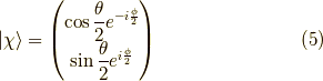 | \chi \rangle = \begin{pmatrix}\cos \dfrac{\theta}{2} e^{-i\frac{\phi}{2}} \\\sin \dfrac{\theta}{2} e^{i\frac{\phi}{2}}\end{pmatrix}\tag{5}