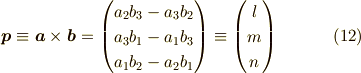 \bm{p} \equiv \bm{a} \times \bm{b} = \begin{pmatrix}a_2b_3-a_3b_2 \\a_3b_1-a_1b_3 \\a_1b_2-a_2b_1 \end{pmatrix}\equiv\begin{pmatrix}l \\m \\n \end{pmatrix} \tag{12}