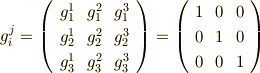 g_{i}^{j}=\left( \begin{array}{ccc}g_{1}^{1} & g_{1}^{2} & g_{1}^{3} \\g_{2}^{1} & g_{2}^{2} & g_{2}^{3} \\g_{3}^{1} & g_{3}^{2} & g_{3}^{3} \\\end{array}\right)= \left( \begin{array}{ccc}1 & 0 & 0 \\0 & 1 & 0 \\0 & 0 & 1 \\\end{array}\right)